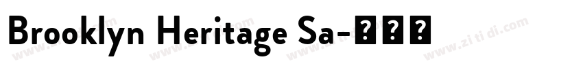 Brooklyn Heritage Sa字体转换